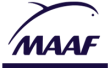 Accompagnement programme relationnel MAAF par ASI
