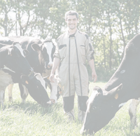 Eureden agroalimentaire coopératif breton