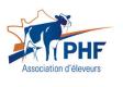 logo prim'holstein