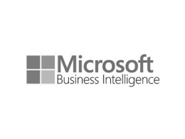 Microsoft Business Intelligence décisionnel 
