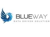 Logo blueway