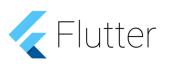 Flutter - SDK Google