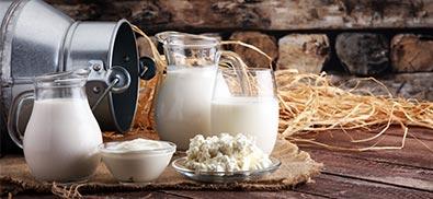 cruche de lait et produits laitiers agroalimentaire
