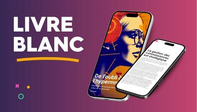 Présentation du Livre blanc dans un smartphone Présentation du Livre blanc dans un smartphone